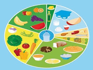 roda dos alimentos 