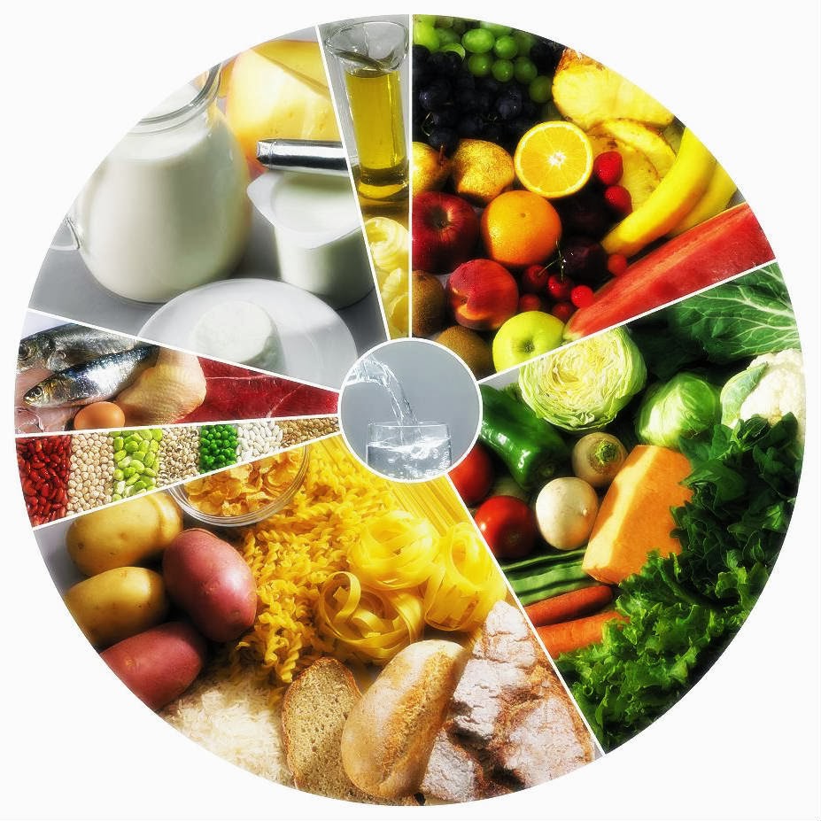 roda dos alimentos