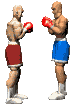 boxegif