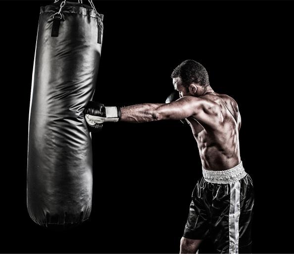 boxetreino